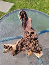 Aquarium reptile natural for sale  LEICESTER