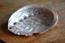 Large abalone mother for sale  RICHMOND