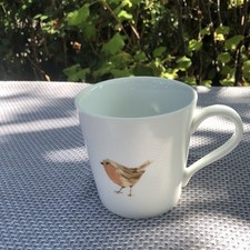 Sainsbury robin ceramic for sale  BRISTOL