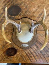 Beautiful small symmetric for sale  Reform