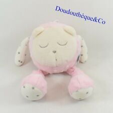 Peluche sonore ours d'occasion  Cavaillon