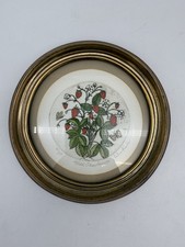 Wild strawberries watercolor for sale  Rowland Heights
