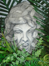 Medusa snake head for sale  HALIFAX