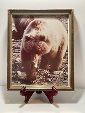 Vintage 8x10 framed for sale  San Leandro