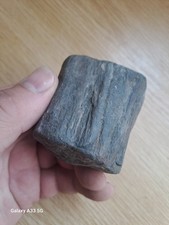 Nice fossil wood for sale  NOTTINGHAM