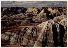 Arizona petrified forest d'occasion  Expédié en Belgium