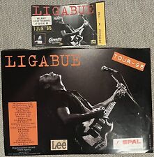 Luciano ligabue concerto usato  Cinisello Balsamo