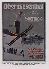 Berwiesenthal erzgebirge sport gebraucht kaufen  Deutschland