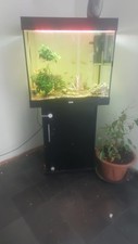 Aquarium 250 komplett gebraucht kaufen  Singen (Hohentwiel)