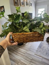 fake flowers baskets for sale  Ward