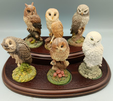 Royal doulton owls for sale  HEMEL HEMPSTEAD
