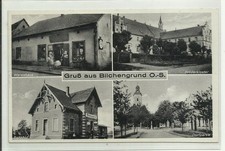 Bilchengrund pilchowice pilcho gebraucht kaufen  Oberursel (Taunus)