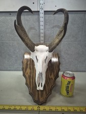 decorative antelope for sale decorative antelope for sale Valley City