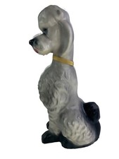 Standard chateau poodle for sale  Freeport