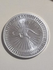 Australian känguru 2021 gebraucht kaufen  Collenberg