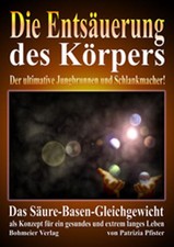 Entsäuerung körpers gebraucht kaufen  Berlin