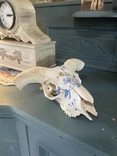 Real ram skull for sale  OLDBURY