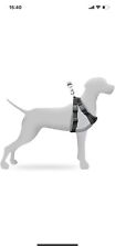 Large adjustable dog for sale  KETTERING