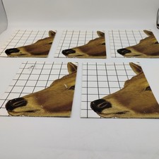 Champion deer ray for sale  Croton