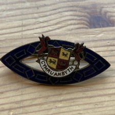 Early 20th enamel for sale  IPSWICH