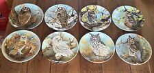 Wise owl plates for sale  SOUTHPORT