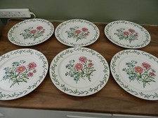 Dinner plates classic for sale  ALTON