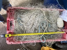 Shore sea bass for sale  ABERYSTWYTH
