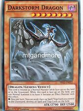 Darkstorm dragon sr02 gebraucht kaufen  Kerpen