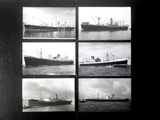 Blue star line for sale  LEWES