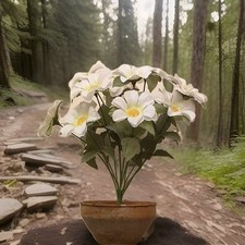 Margherite bianche finte usato  Mineo