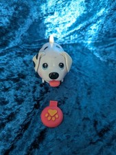 Chubby puppies dalmatian for sale  LIVERSEDGE