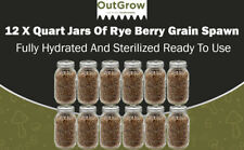 Rye berry grain for sale  Mc Connell