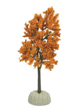 Albero autunnale vegetazione usato  Napoli