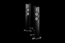 Raidho x2t high gebraucht kaufen  Bornheim