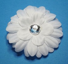 Gerbera daisy flower for sale  BIRMINGHAM