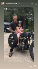Red wing beckham for sale  NEWTOWNARDS