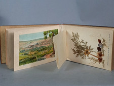 Ancien herbier lithographies d'occasion  Avignon