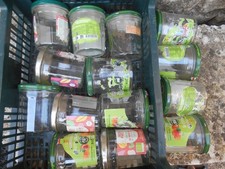 Lot empty jars d'occasion  Expédié en Belgium