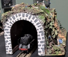 Beautiful german model for sale  Eustis