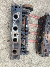 pinto head for sale pinto head for sale SHERBORNE