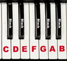 Roland xp 80 d'occasion  Expédié en Belgium