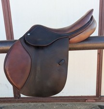 Cwd english jump for sale  Phoenix