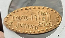 Covid survived 2020 for sale  Eastlake