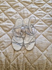 Silver strappy kitten for sale  SHEFFIELD