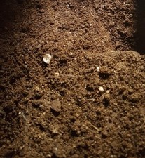 Fresh chicken manure for sale  ROMFORD