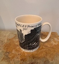 1969 commemorative mug for sale  Richboro