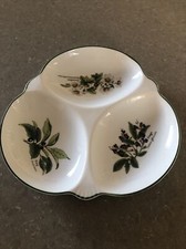 Royal worcester worcester for sale  DEESIDE