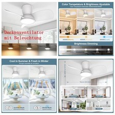 Deckenventilator beleuchtung � gebraucht kaufen  Altstadt,-Andershof,-Devin
