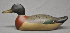 Mallard drake factory for sale  Monroe