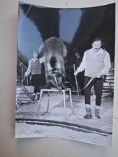 Ddr presse foto gebraucht kaufen  Deutschland